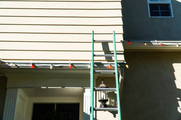 Best Custom Siding Design  in Hilbert, WI