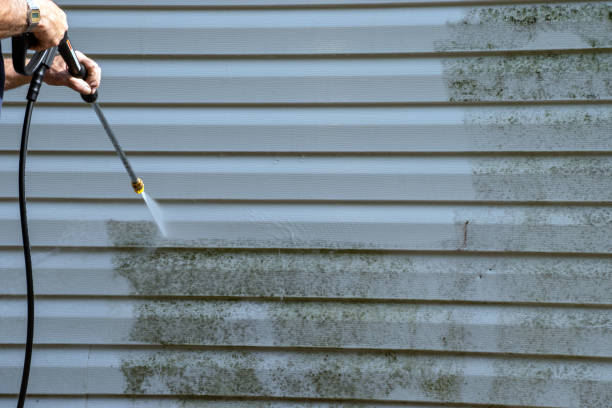 Best Steel Siding Installation  in Hilbert, WI