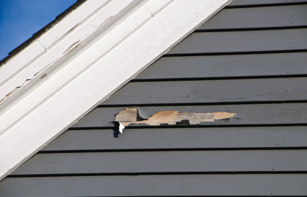 Best James Hardie Siding  in Hilbert, WI
