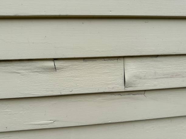 Best Siding Painting and Refinishing  in Hilbert, WI